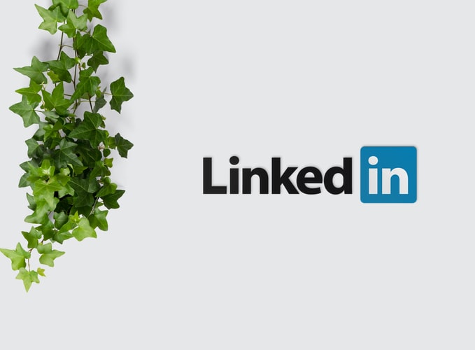 LinkedIn logo on white surface beside vines leaves